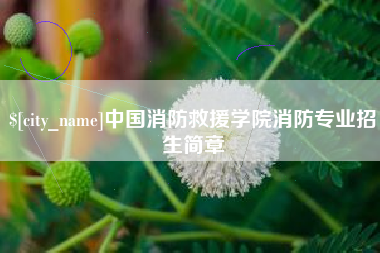 商洛中国消防救援学院消防专业招生简章