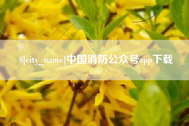 商洛中国消防公众号app下载