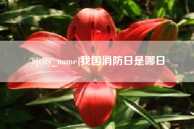 商洛我国消防日是哪日