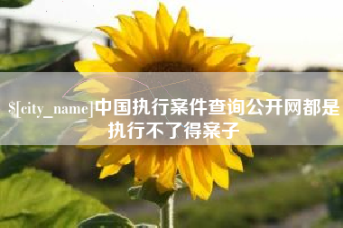 商洛中国执行案件查询公开网都是执行不了得案子