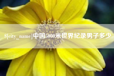 商洛中国5000米世界纪录男子多少