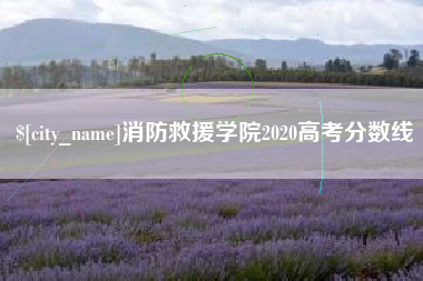 商洛消防救援学院2020高考分数线