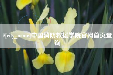 商洛中国消防救援学院官网首页查询