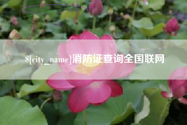 商洛消防证查询全国联网