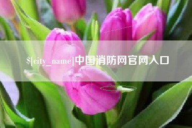 商洛中国消防网官网入口