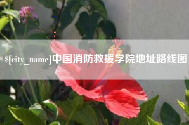 商洛中国消防救援学院地址路线图