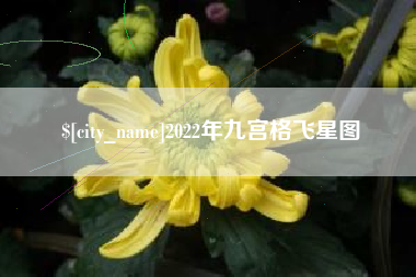 商洛2022年九宫格飞星图