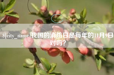 商洛我国的消防日是每年的11月9日对吗？