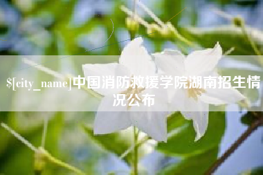 商洛中国消防救援学院湖南招生情况公布