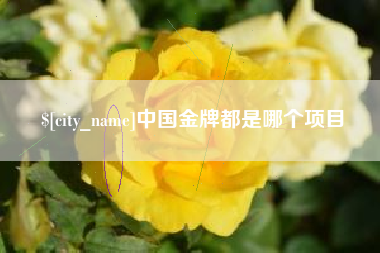 商洛中国金牌都是哪个项目