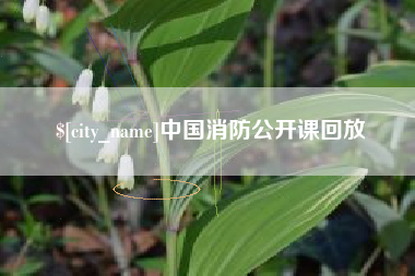 商洛中国消防公开课回放