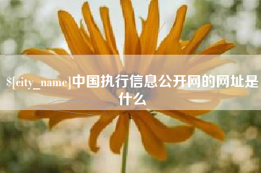 商洛中国执行信息公开网的网址是什么