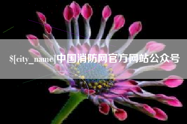 商洛中国消防网官方网站公众号