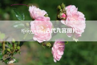 商洛古代九宫图片