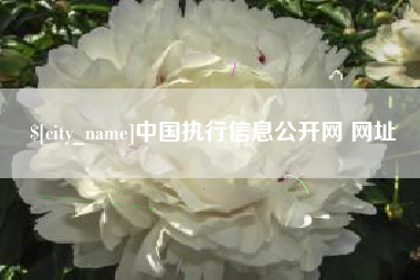 商洛中国执行信息公开网 网址