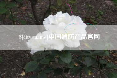 商洛中国消防产品官网