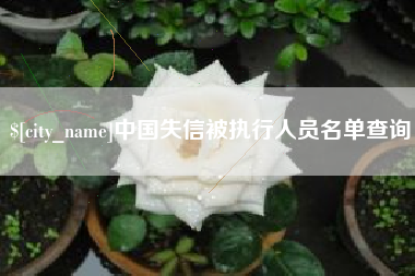 商洛中国失信被执行人员名单查询