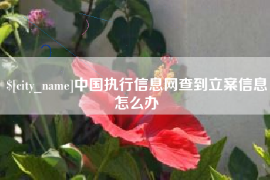 商洛中国执行信息网查到立案信息怎么办
