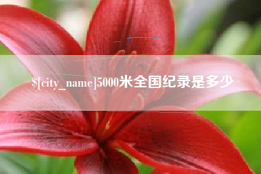 商洛5000米全国纪录是多少