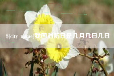 商洛我国消防日是几月几日几日