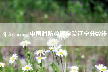 商洛中国消防救援学院辽宁分数线