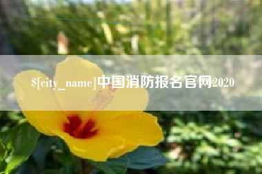 商洛中国消防报名官网2020