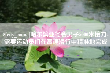 商洛哈尔滨亚冬会男子5000米接力-需要运动员们在高速滑行中精准地完成