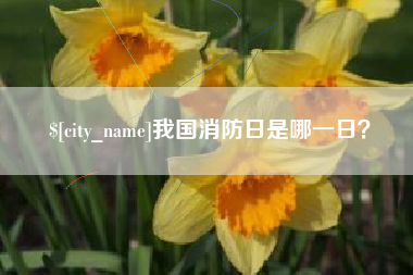 商洛我国消防日是哪一日？