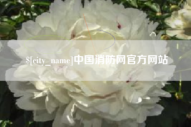商洛中国消防网官方网站