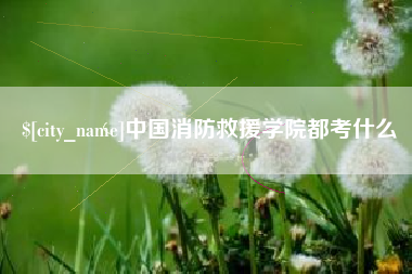 商洛中国消防救援学院都考什么