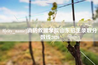 商洛消防救援学院山东招生录取分数线2020