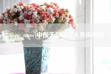商洛中国失信执行人查询官网