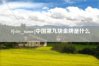 商洛中国第九块金牌是什么