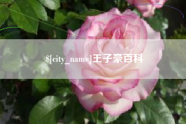 商洛王子豪百科