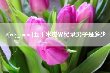 商洛五千米世界纪录男子是多少