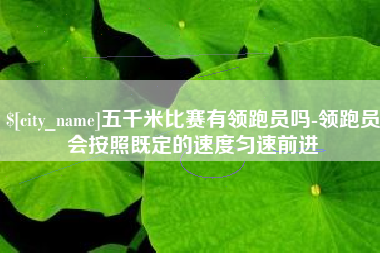 商洛五千米比赛有领跑员吗-领跑员会按照既定的速度匀速前进