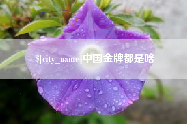 商洛中国金牌都是啥