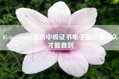 商洛消防中级证书电子版查询多久才能查到
