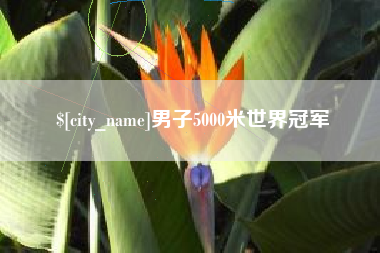 商洛男子5000米世界冠军