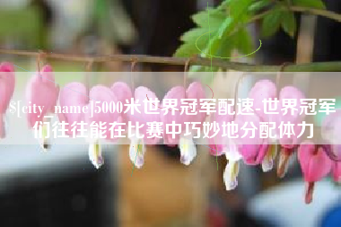 商洛5000米世界冠军配速-世界冠军们往往能在比赛中巧妙地分配体力