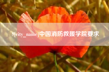 商洛中国消防救援学院要求