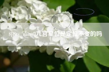 商洛九宫星位是定位不变的吗