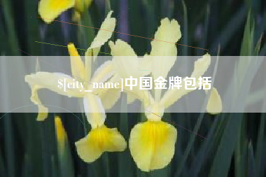 商洛中国金牌包括