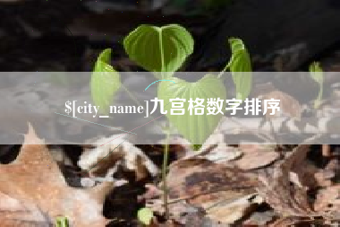商洛九宫格数字排序