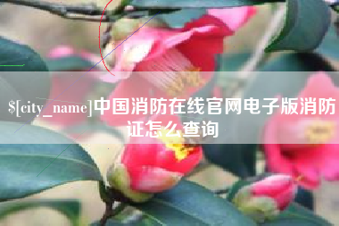 商洛中国消防在线官网电子版消防证怎么查询