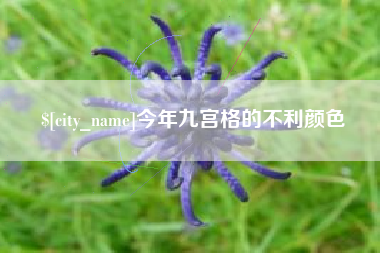商洛今年九宫格的不利颜色