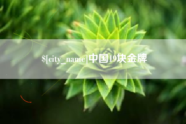商洛中国19块金牌
