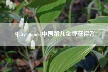 商洛中国第九金牌获得者