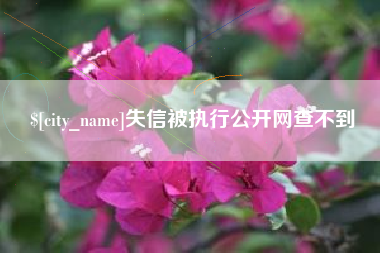 商洛失信被执行公开网查不到
