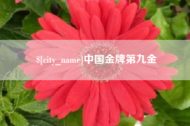 商洛中国金牌第九金